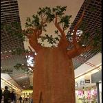 Baobab pour un centre commercial — Réalisation d'un baobab pour un centre commercial en polystyrène expansé résiné - Hauteur 3 m