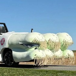 Char botte de poireaux - Tour de France — Char publicitaire pour la caravane du Tour de France : une botte de poireaux montée sur un cabriolet. Les bulbes portent chacun un visage, les barbes sont en cordage, et les fanes vert sombre coiffent l'arrière du véhicule.