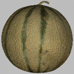 Melon — Numérisation d’un melon pour conception d’un véhicule publicitaire