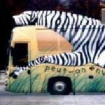 Badoit — Réalisation de 7 bus-animaux