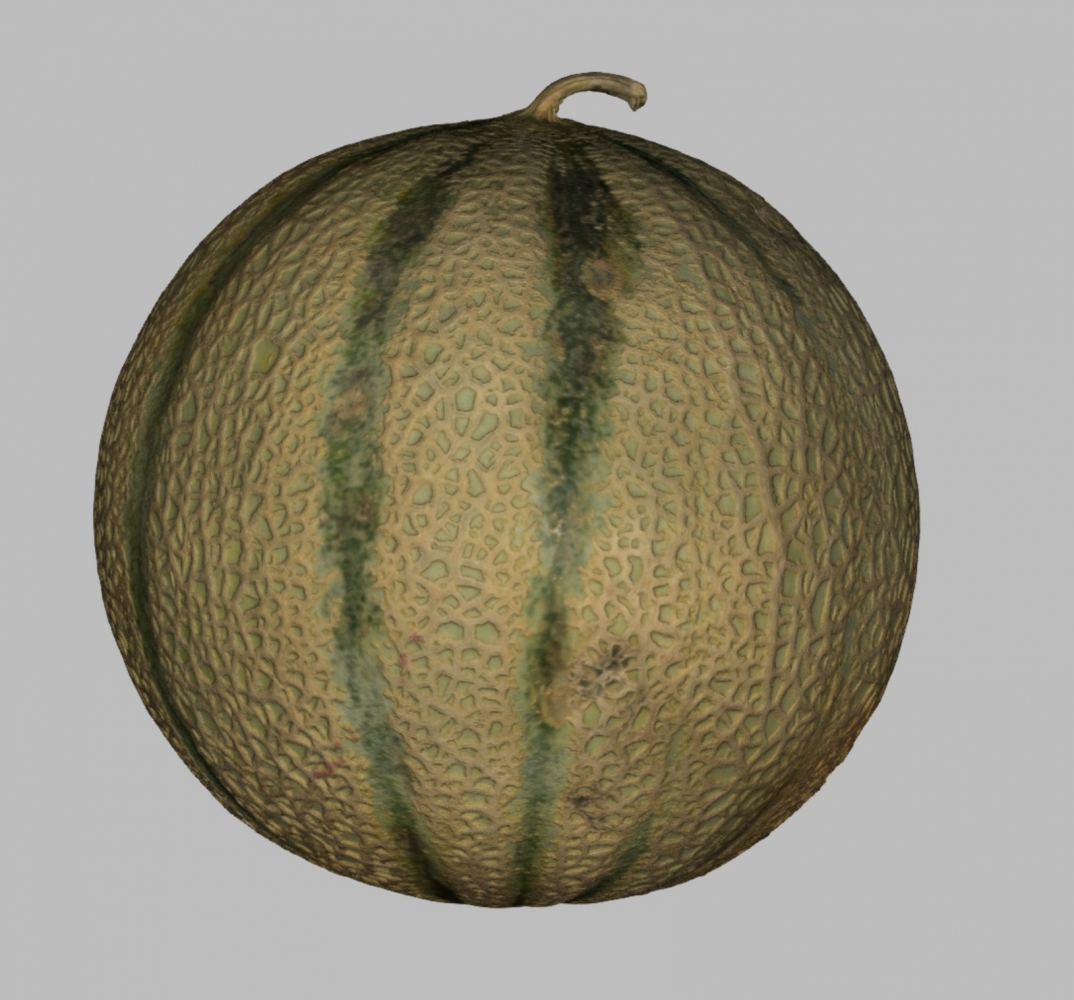 Melon — Numérisation d’un melon pour conception d’un véhicule publicitaire