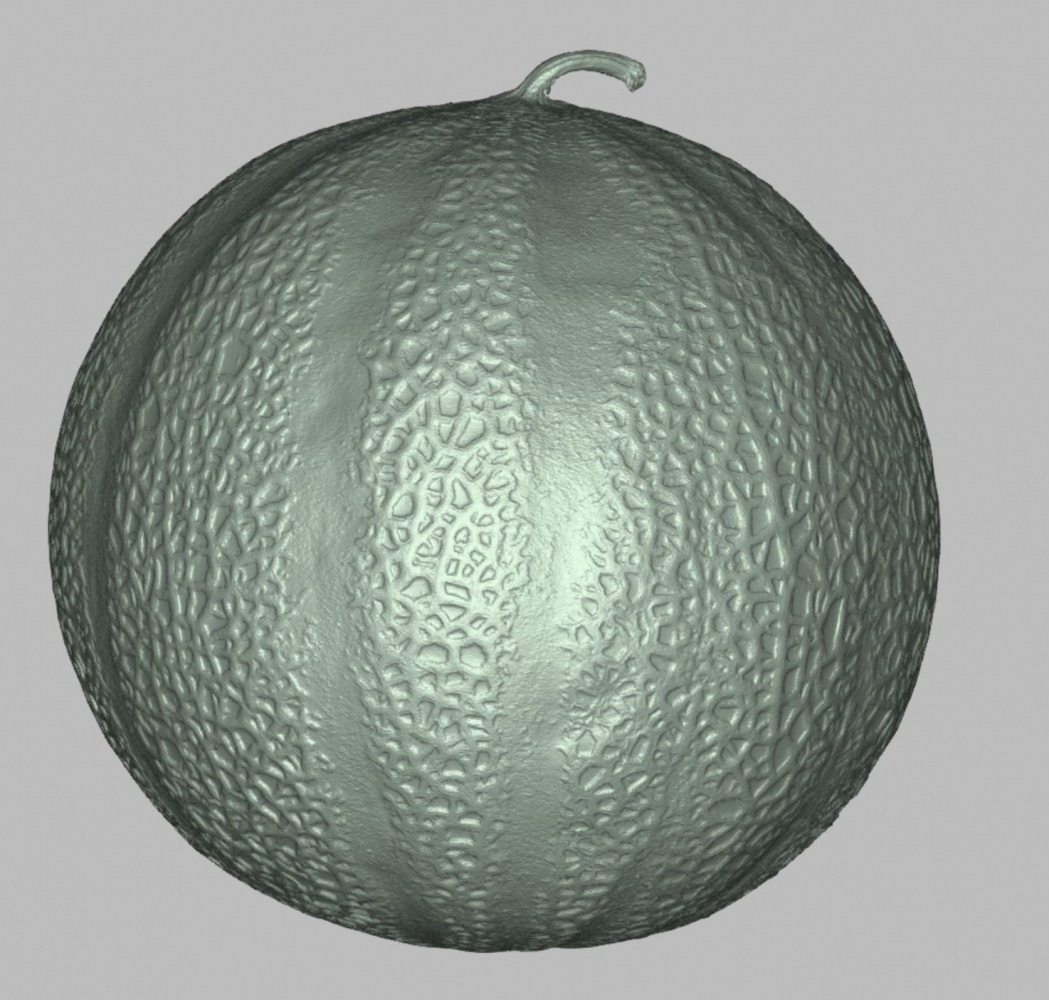 Sub-photo — Numérisation d’un melon pour conception d’un véhicule publicitaire