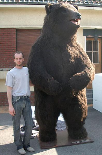 Ours en polystyrène et moulage — Réalisation d’un ours en polystyrène expansé + résine et moulage - Artiste Christophe Darras